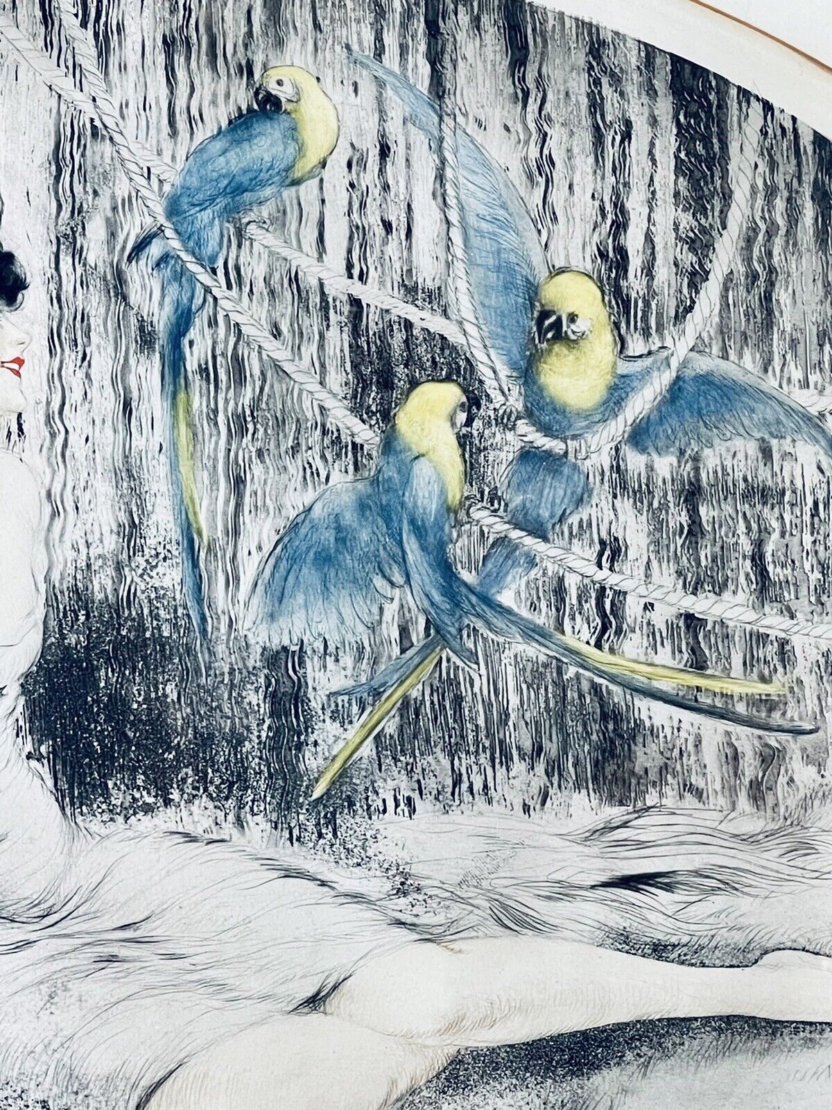 Louis Icart “Parrots” no.296 original 1925 Etching With COA
